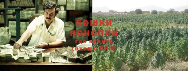 ПСИЛОЦИБИНОВЫЕ ГРИБЫ Остров