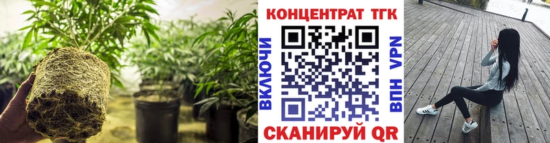 ТГК концентрат  Купить закладки  Светлый 